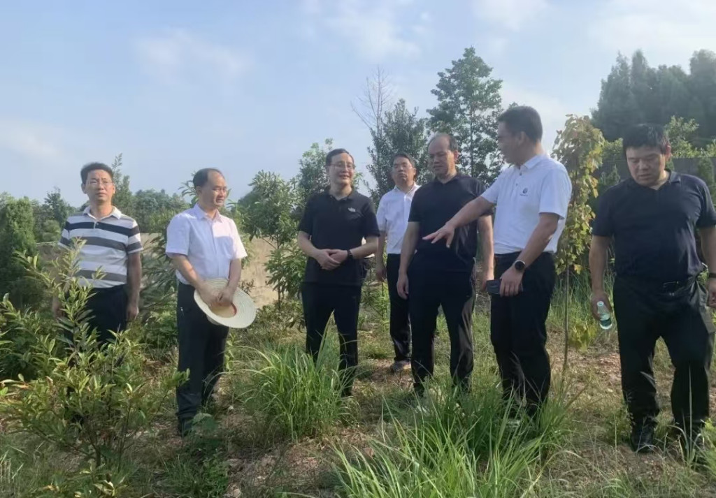 微信图片_20240914083155