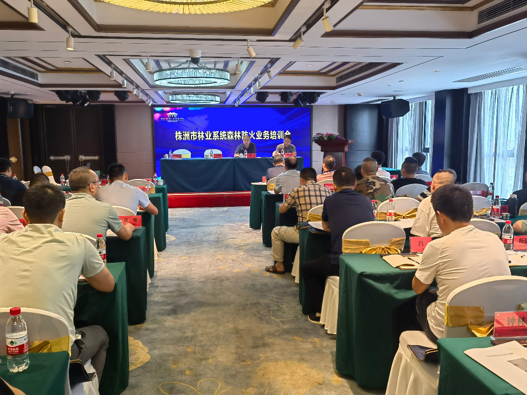 微信图片_20240920171323