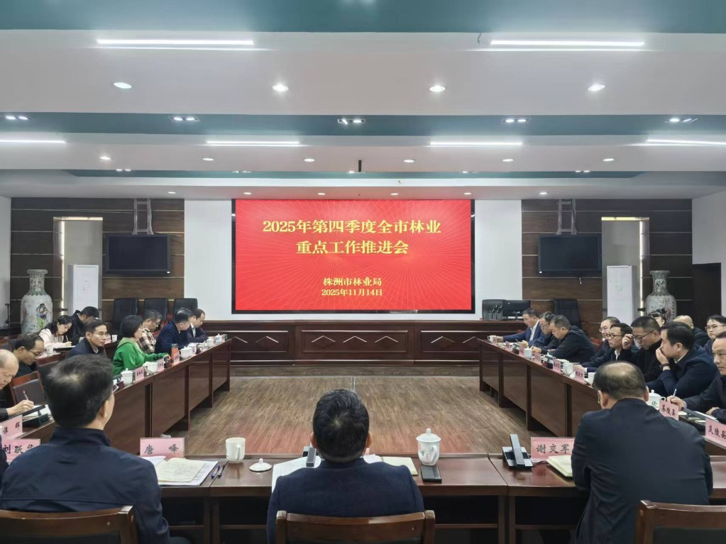 2025年第四季度推进会